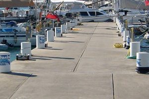 Cat-Club-Marina