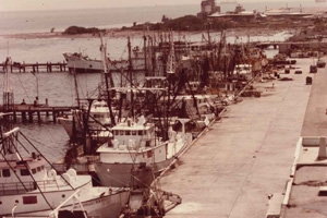 National-Fisheries-Dock